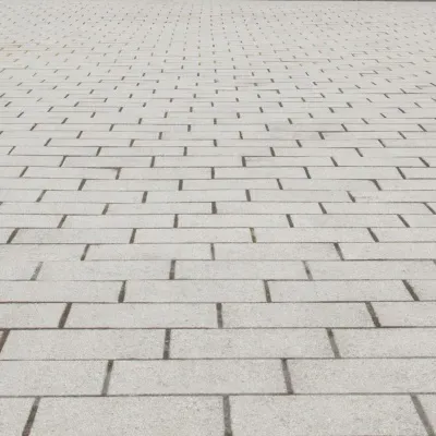 Colored concrete driveway design in Delafield, WI for modern residential appeal